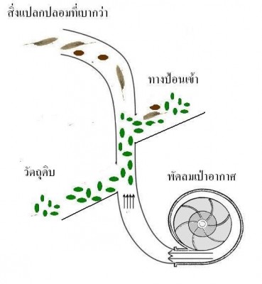 การทำความสะอาดวัตถุดิบก่อนการแปรรูปอาหาร
